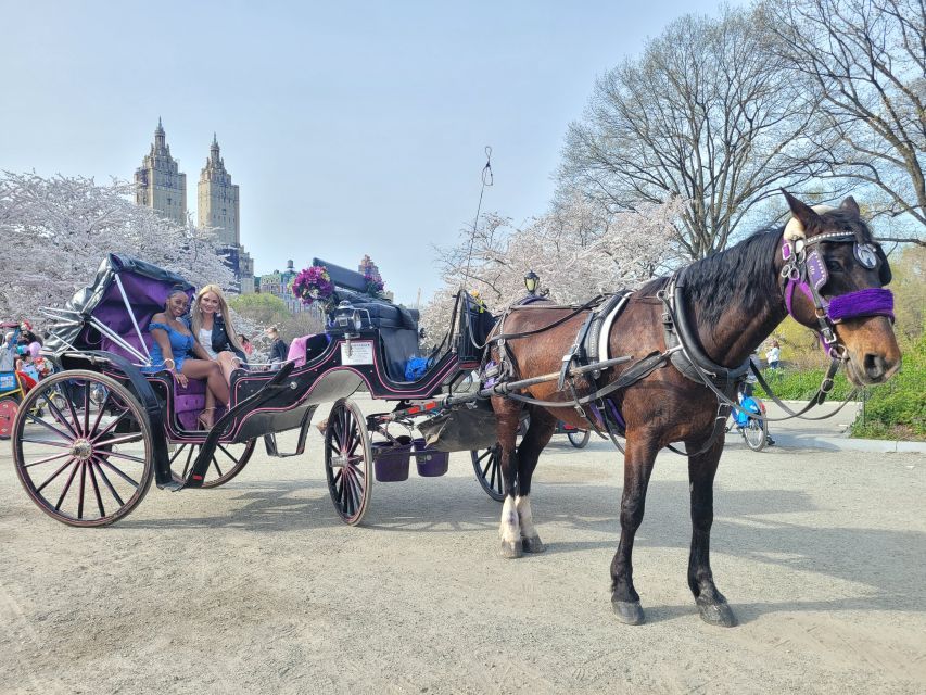 Paseo en carruaje por Central Park: plan romántico clásico en Nueva York