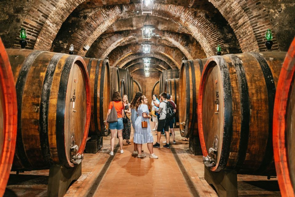 Bodega en la Toscana para una cata de vinos y quesos