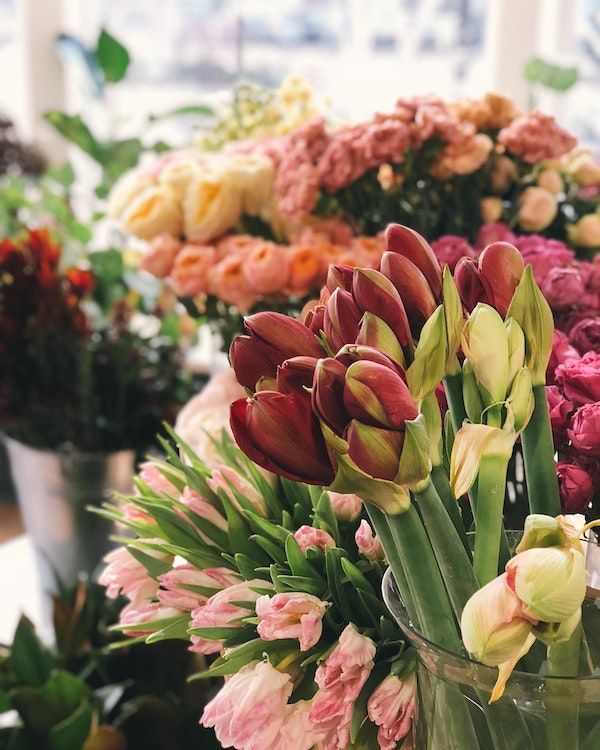 mercado flores Mercado de flores Columbia Road en Londres: paseo romántico entre puestos y ramos